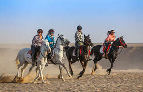 Experienced riders on a trail ride in Egypt
