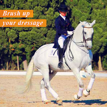 Brush up your dressage