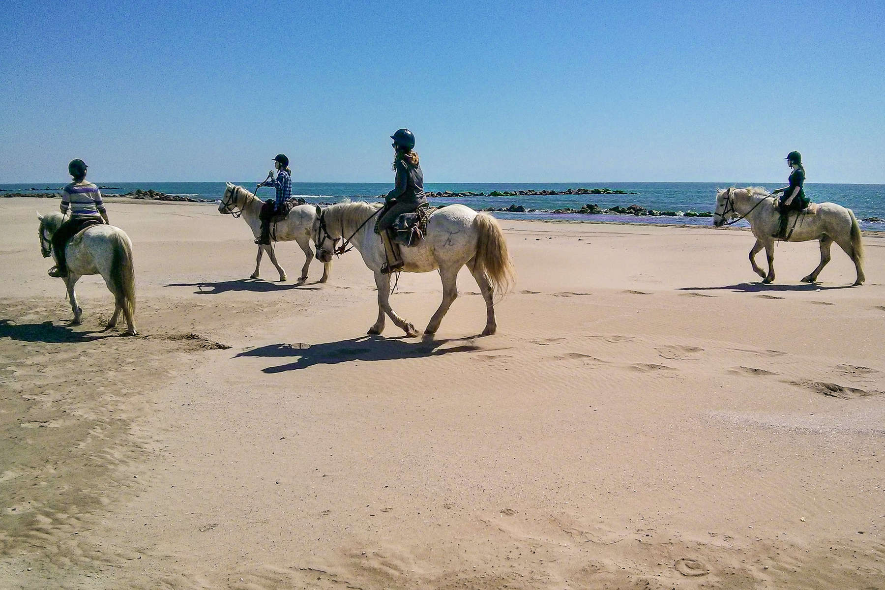 Beach riding holiday in Camargue, France