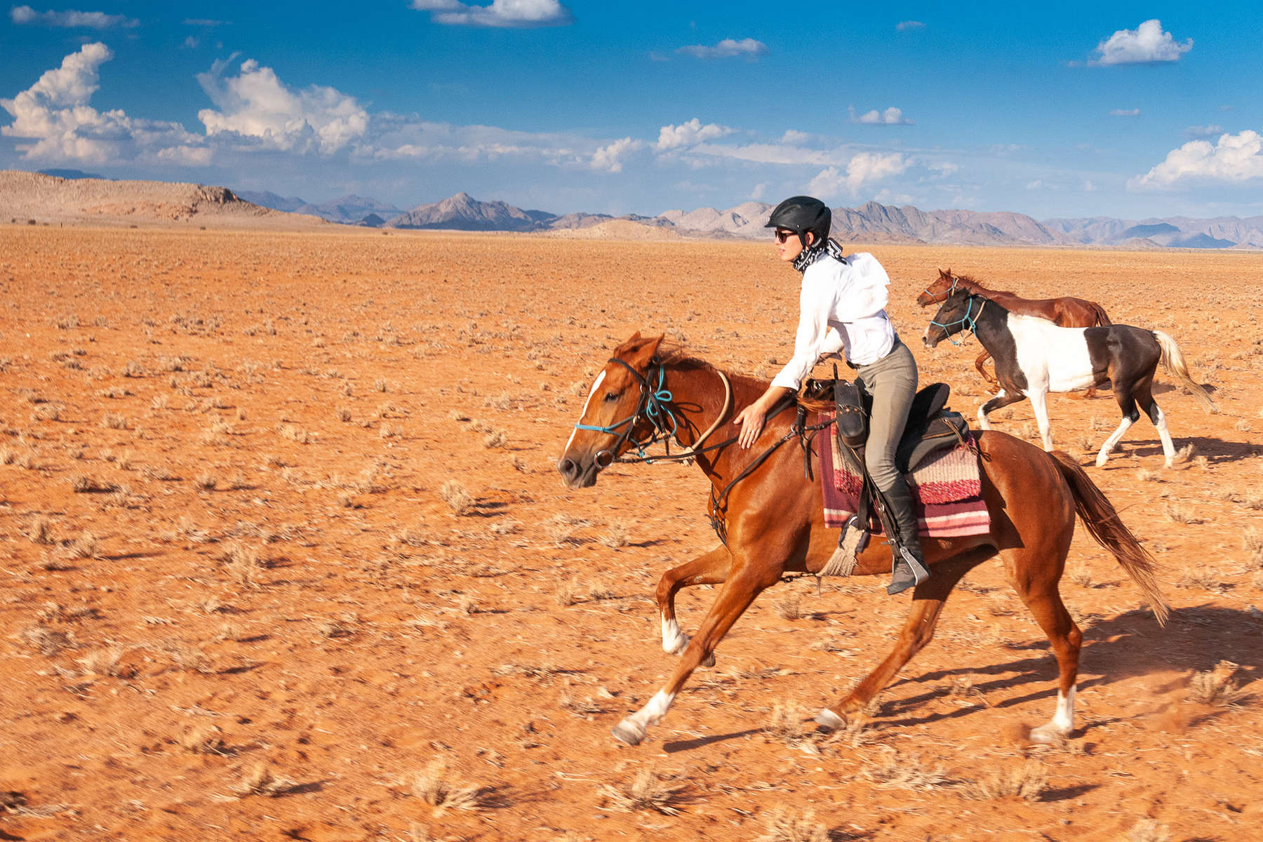 Cantering horse on an adventurous trail riding holiday