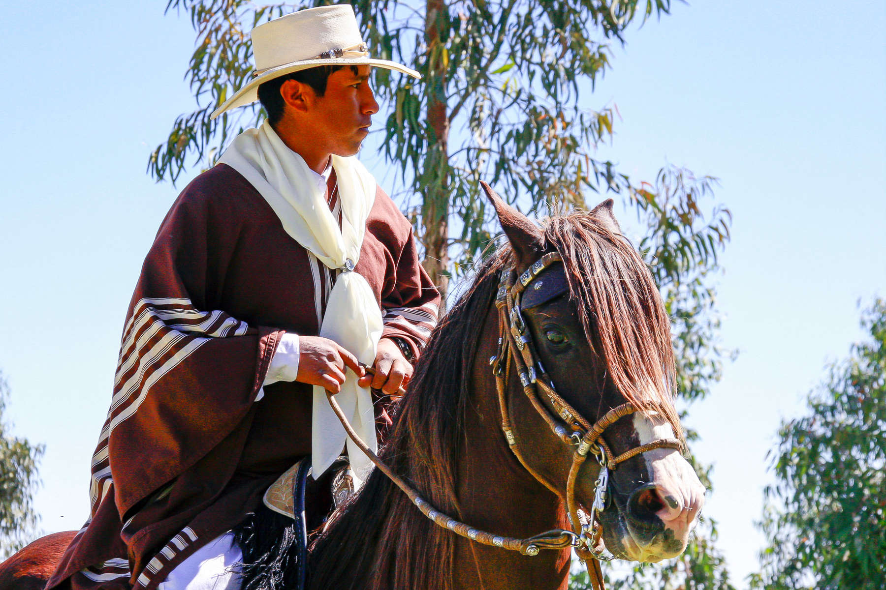 Discover the Colca Canyon trail on horseback