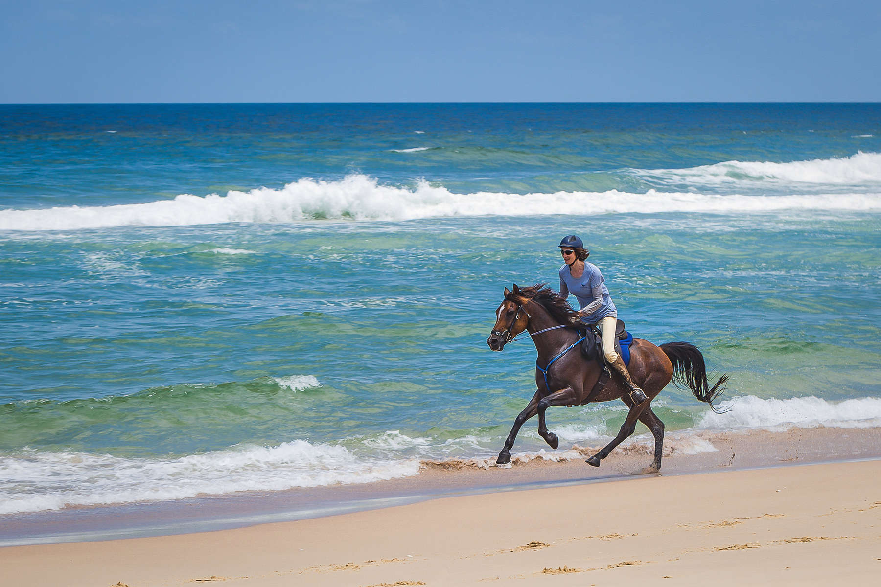 Rider cantering on an Australian beach on an Arabian horse