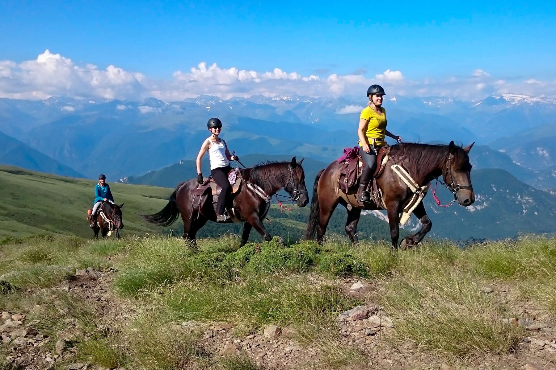 Riders and Merens horses in the Pyrenees on a trail ride