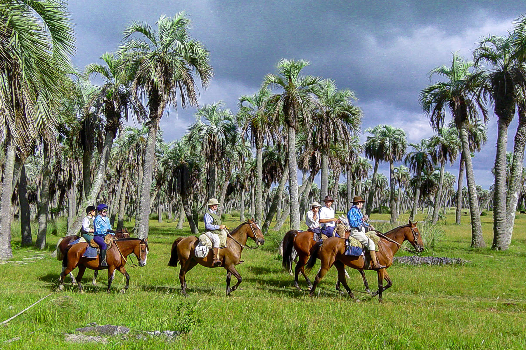 Trail riding on Criollo horses in Uruguay