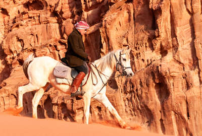 Arabian horse in the Wadi Rum desert