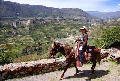 Horse and rider in the Andean mountains