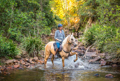 Horseback rider in a creek on horseback in Australia