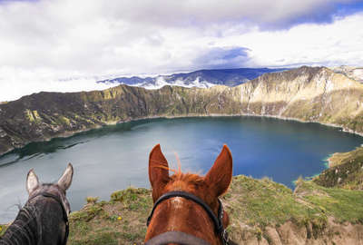 Horses in front of the Quilotoa crater lake in Ecuador
