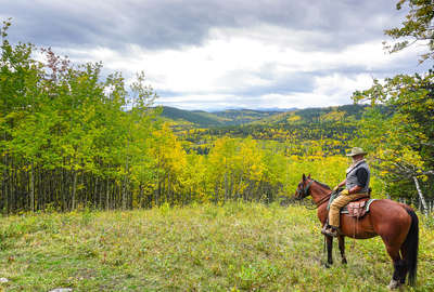 Rider and horse being photographed in the Kananaskis