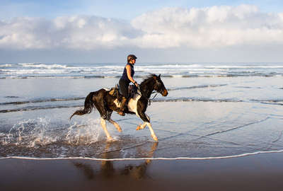 Rider cantering along the beach in South Africa