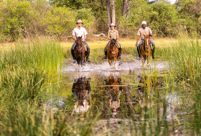 Riding in the floodplains of the Okavango Delta