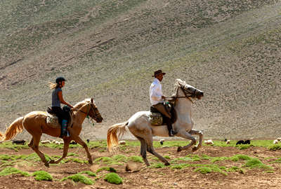 Two riders at a canter in Morocco