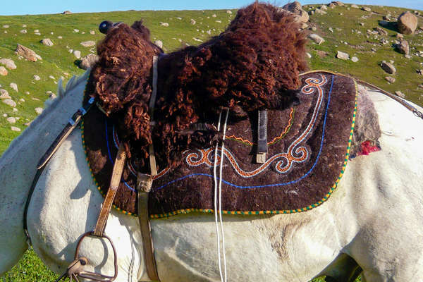 A traditional Kyrgyz saddle