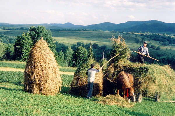 Agricultural tradition in Romania