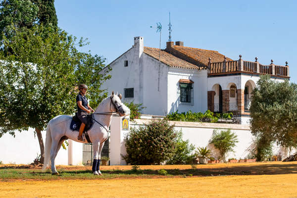 Andalucian horse and his rider at EPona dressage centre in Spain