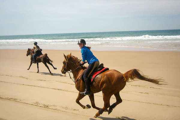 Beach riding in Australia on fit endurance horses