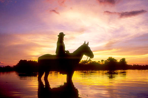 Botswana and horse in sunset