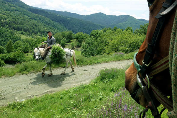 Bulgarian on his horse