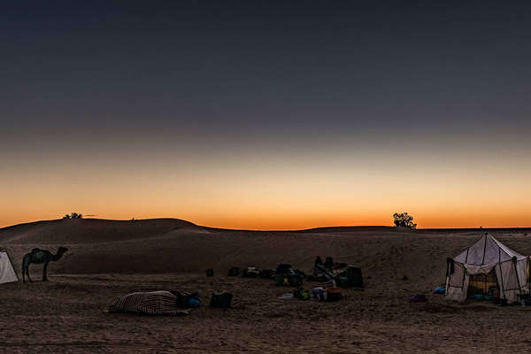 Camp set up in the Sahara for riders on a riding vacation