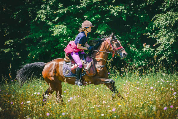 Canter during a riding vacation in Romania, Transylvania