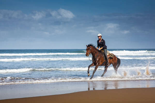 Cantering along the Wild Coast in South Africa