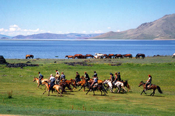 Cantering in the mongolian steppe