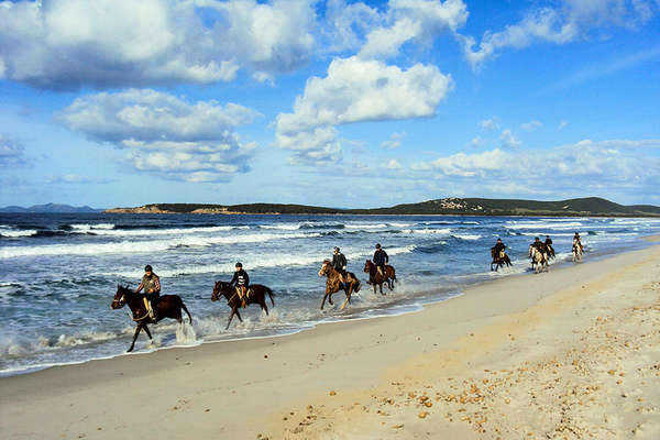 Cantering on the beach in Sardinia