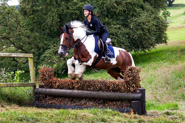 Cross-country programme and training at Castle Leslie