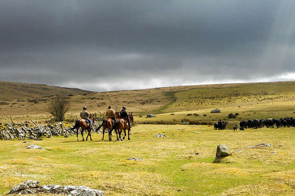 Dartmoor riding holiday in England