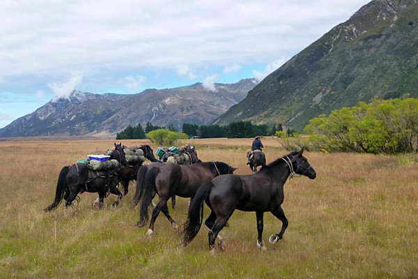 Discovering New Zealand on horseback 