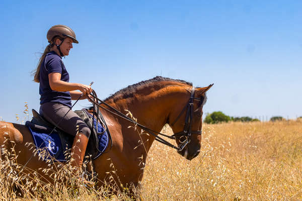 Dressage rider riding her horse in a field