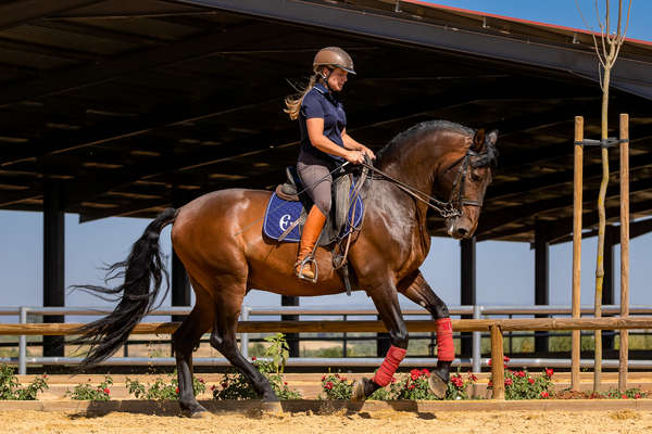 Dressage rider training at Epona in Spain