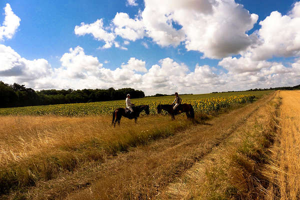France on horseback, in Pays de la Loire