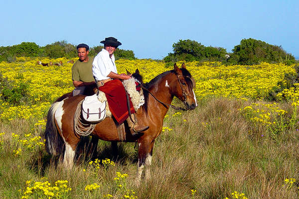 Gauchos and Uruguay on horseback