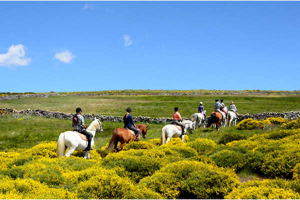 Gredos Valley in horseback trail 