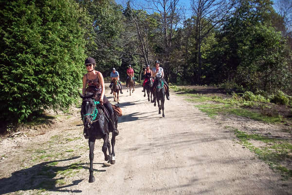 Group of riders enjoying a canter on horseback on tracks in Northern Portugal