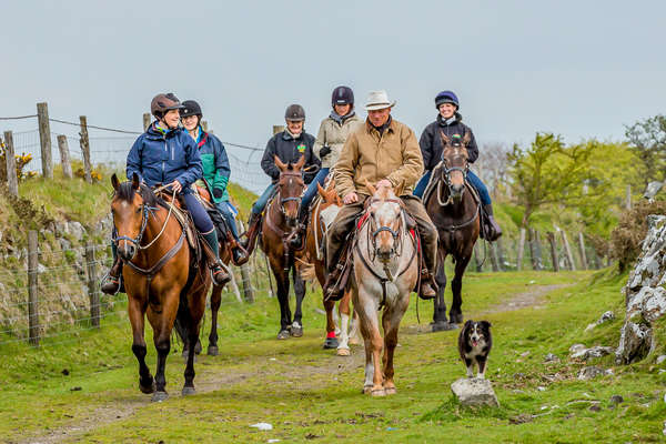 Group of riders heading home after a cattle drive in England