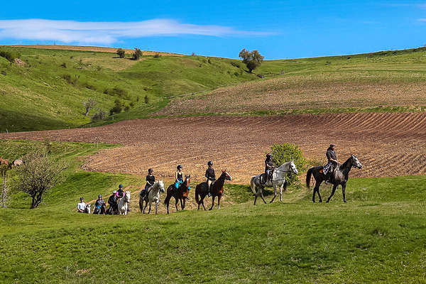 Group of riders in the plains of Bulgaria