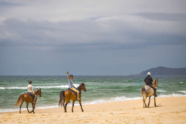 Group of riders on a beach trail ride in Australia, New South Wales