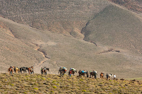 Group of riders on a trail ride in the Atlas mountains