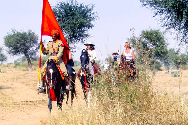 Group of riders on marwari horses in india