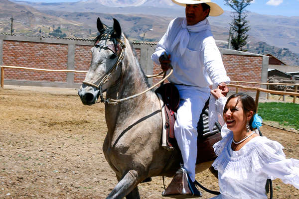 Horse and rider enjoying Peruvian traditions