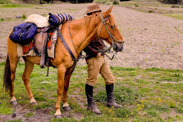 Horse and rider in Ecuador ready for a horseback adventure