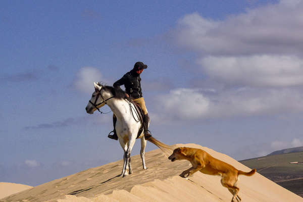 Horse and rider on a sand dune, Morocco