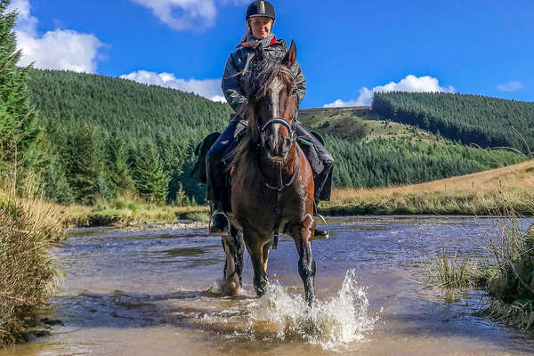 Horse and rider riding in water in Wales
