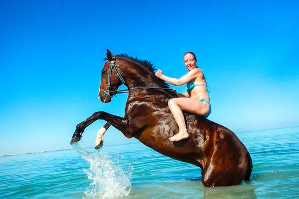 Horse and riding enjoying the waters of the red Sea