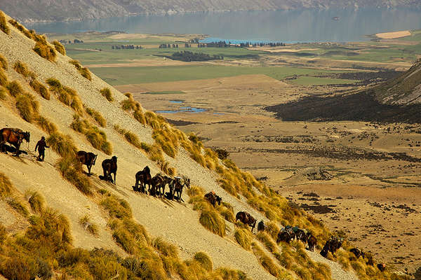 Horse riding holiday in New Zealand