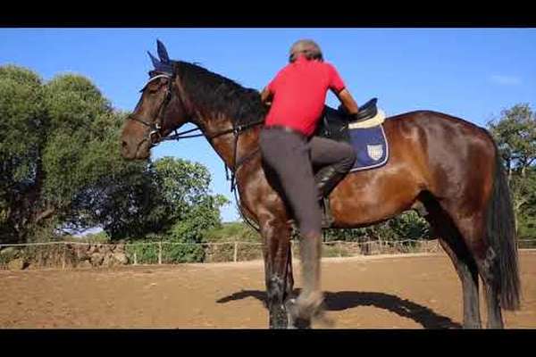Horse riding training in Sardinia