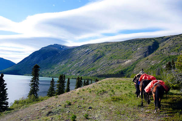 Horseback expedition trail in Yukon, Canada