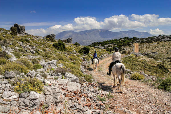 Horseback holiday in Crete